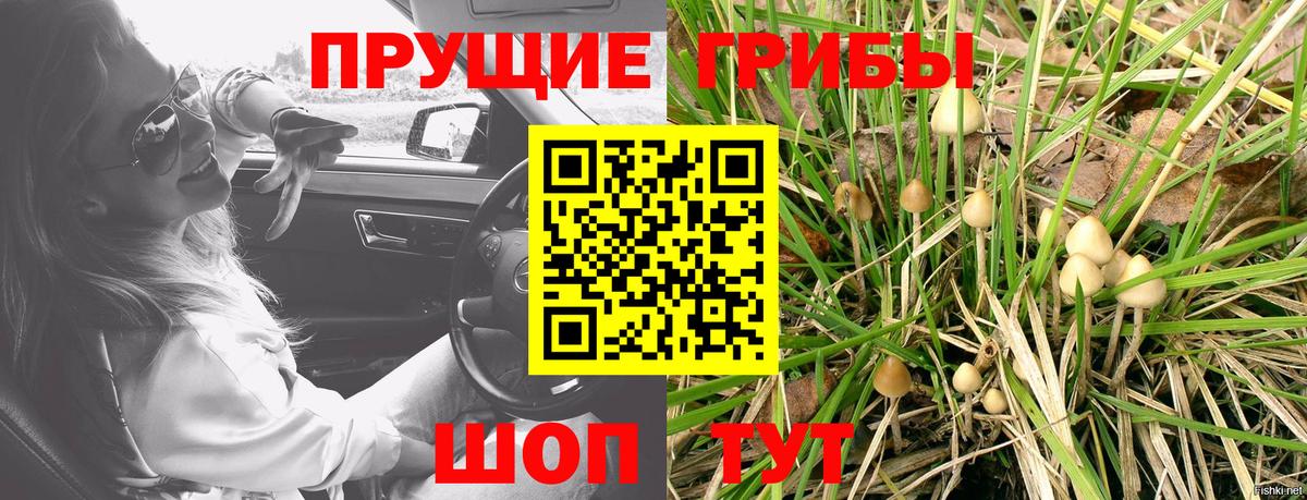 Псилоцибиновые грибы мухоморы  Вход с VPN  Ефремов  Псилоцибиновые грибы Magic Shrooms 